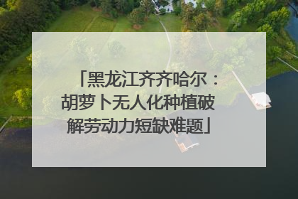 黑龙江齐齐哈尔：胡萝卜无人化种植破解劳动力短缺难题